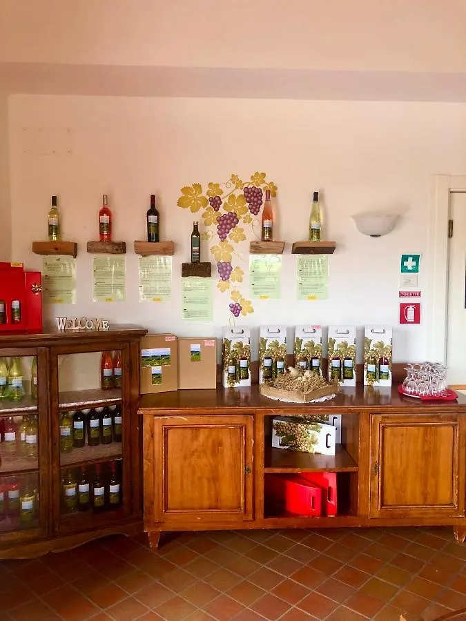Ca Vettor Bed & Breakfast Affi