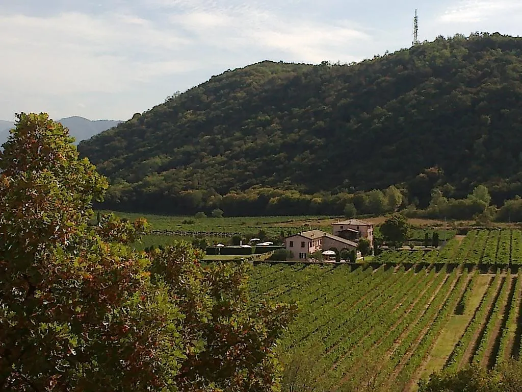 Ca Vettor Bed & Breakfast Affi 3*,  Italy