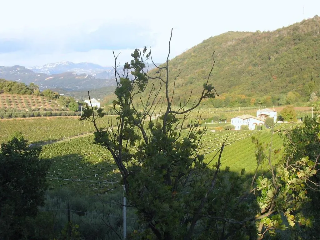 Ca Vettor Bed & Breakfast Affi Italy