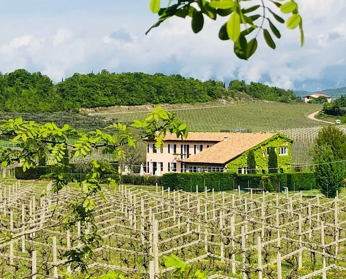 Ca Vettor Bed & Breakfast Affi