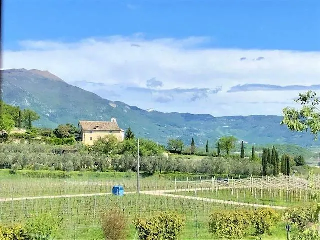 Ca Vettor Bed & Breakfast Affi Italy